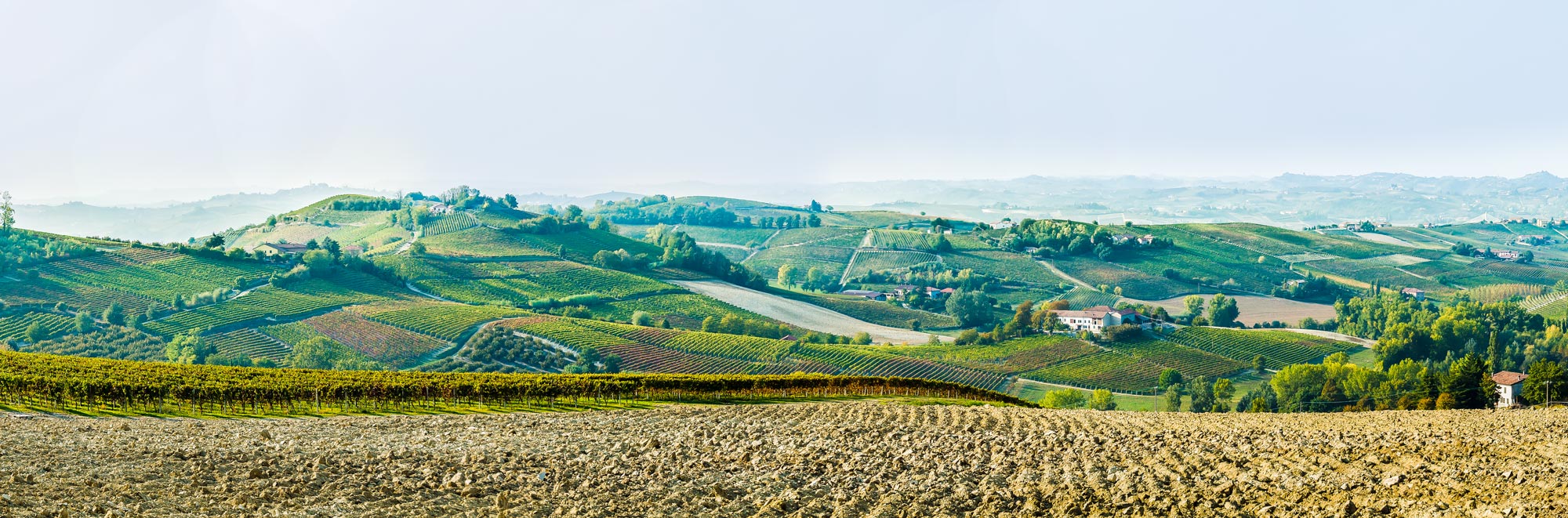 Panorama-Colline-Monferrato » Immagine rappresentativa delle colline del Monferrato scattata sulla strada SP456 del Turchino Km33 che da Acqui Terme porta a Nizza Monferrato.