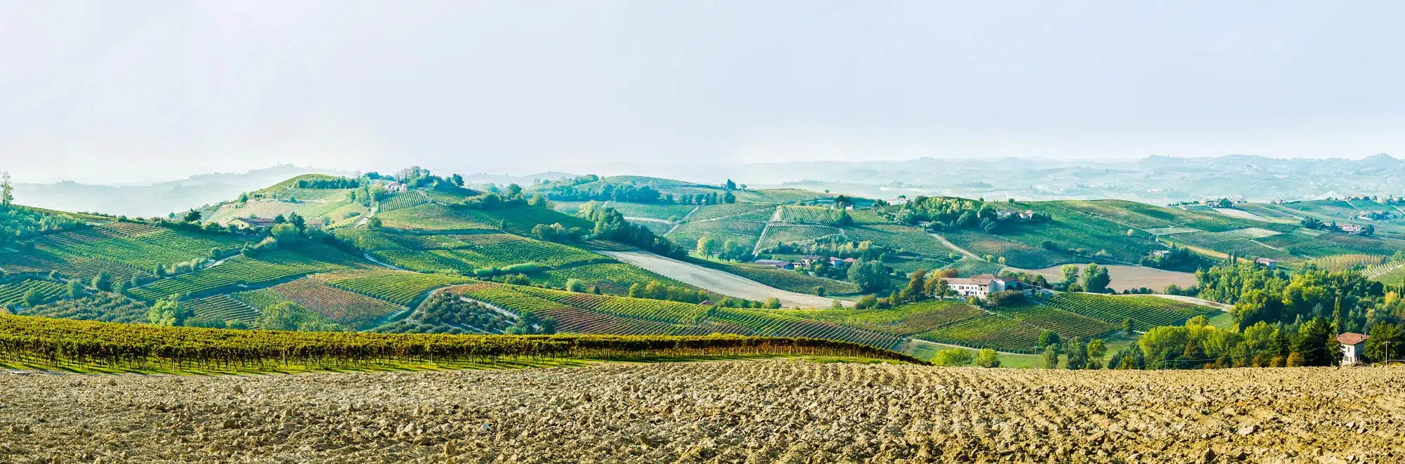 Immagine rappresentativa delle colline del Monferrato scattata sulla strada che da Acqui Terme porta a Nizza Monferrato scattata sulla SP456 del Turchino Km33.